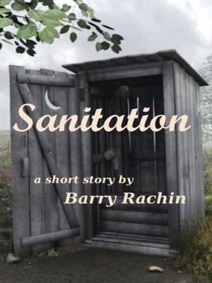 cover image of Sanitation